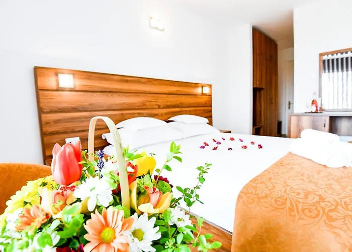 Hotel Complex Tismana 3* 3*